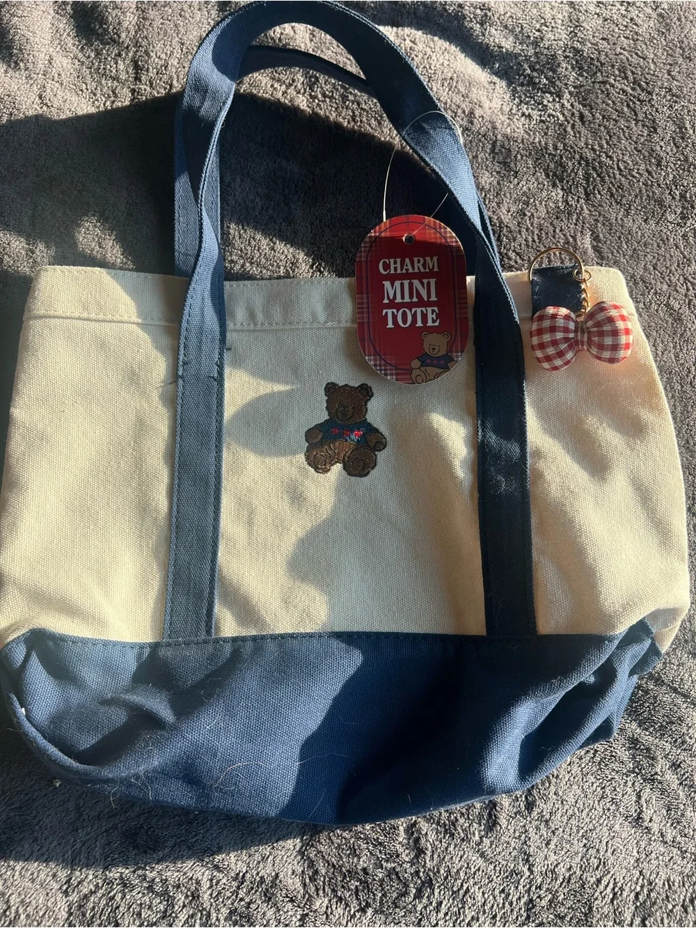 Charm Mini Tote Canvas Bag in Cream and Navy